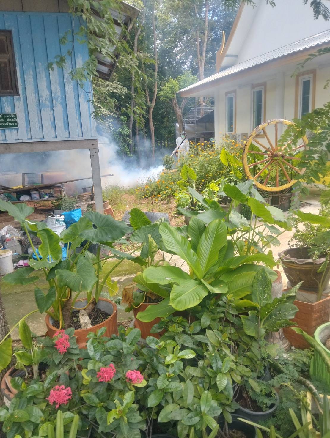ภาพกิจกรรม 4