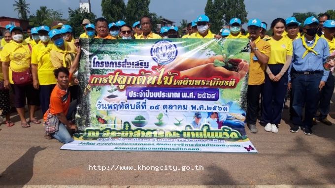 กิจกรรมปลูกป่า 2564