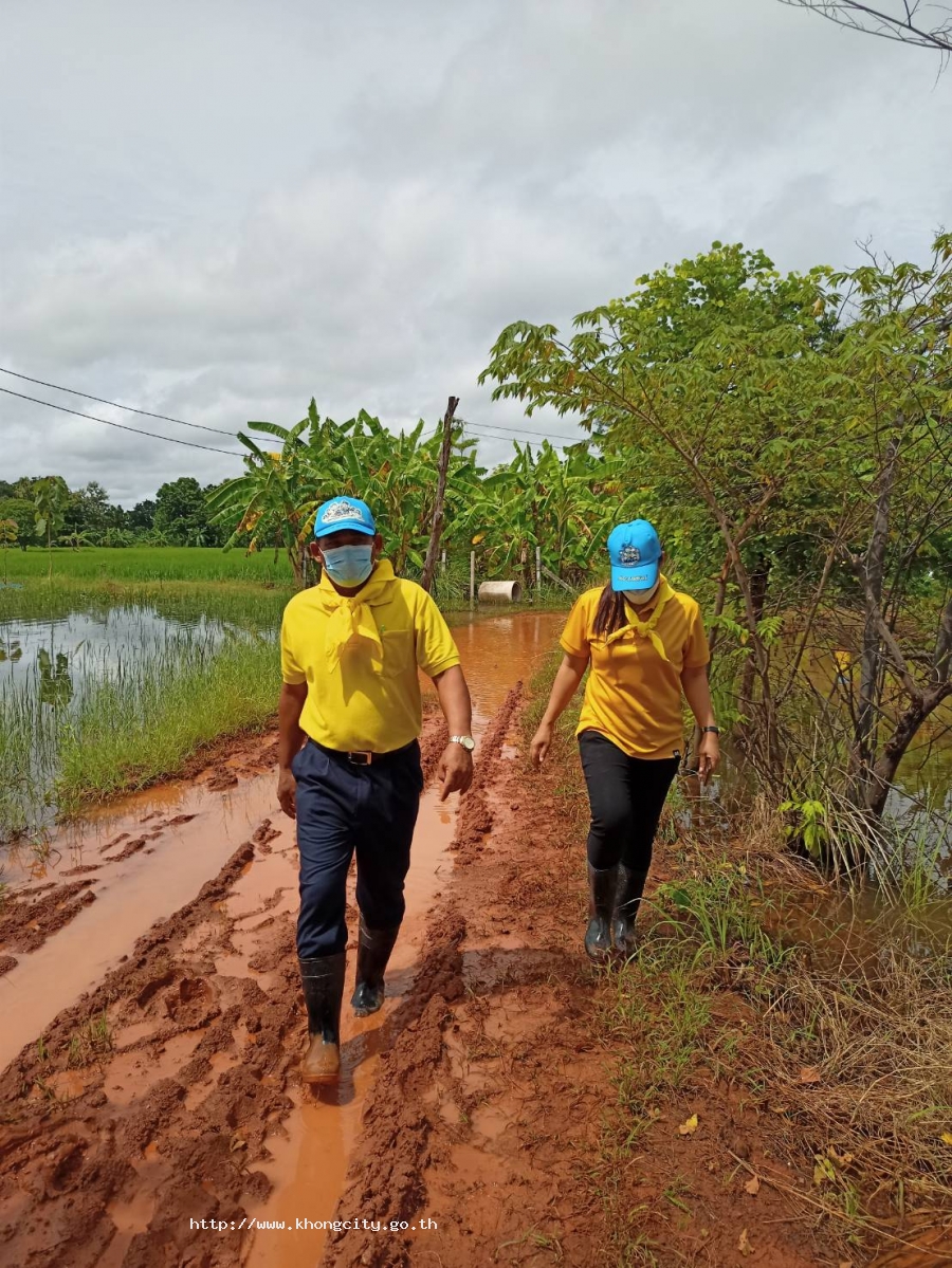 ภาพกิจกรรม 5