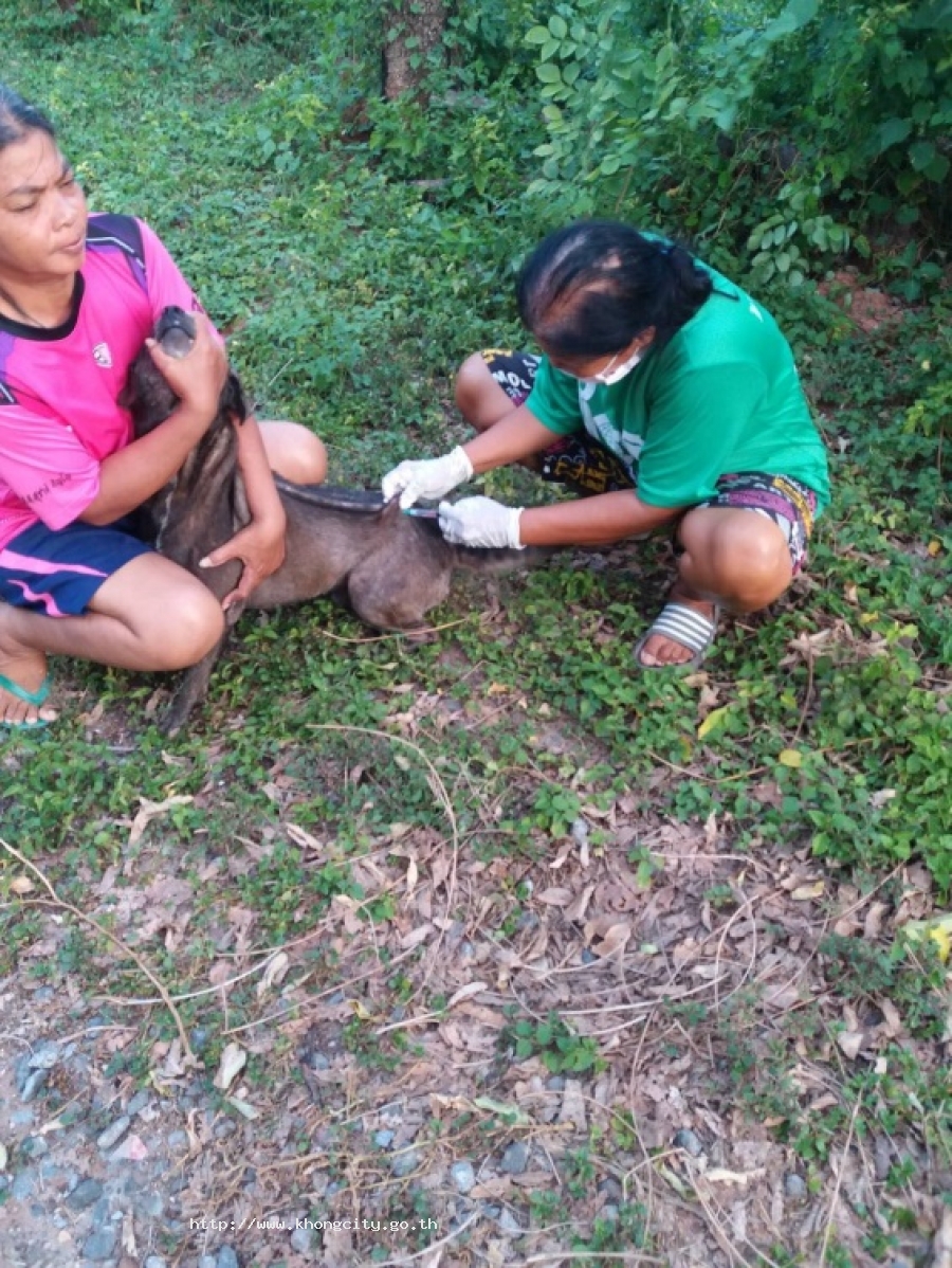 ภาพกิจกรรม 2