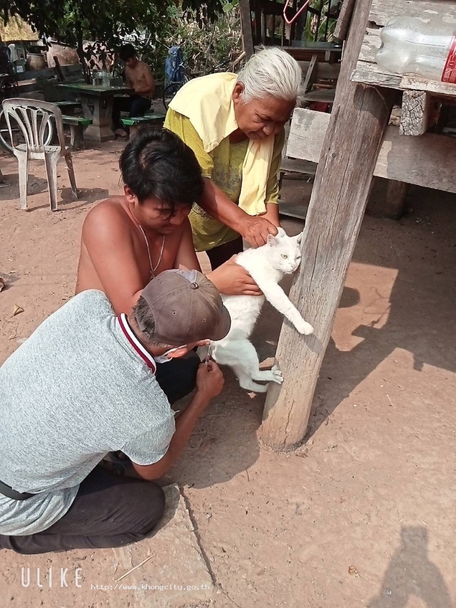 ภาพกิจกรรม 2