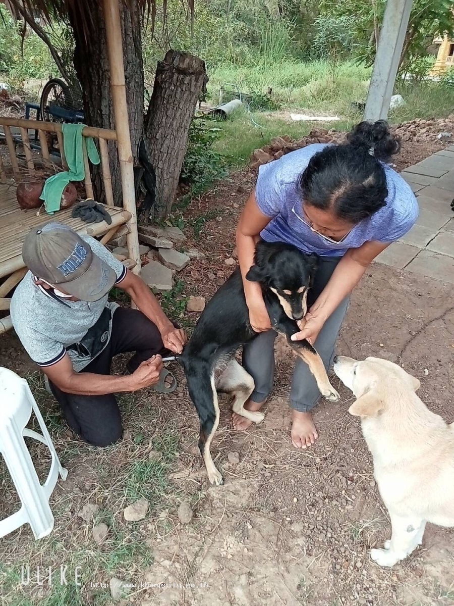 ภาพกิจกรรม 5