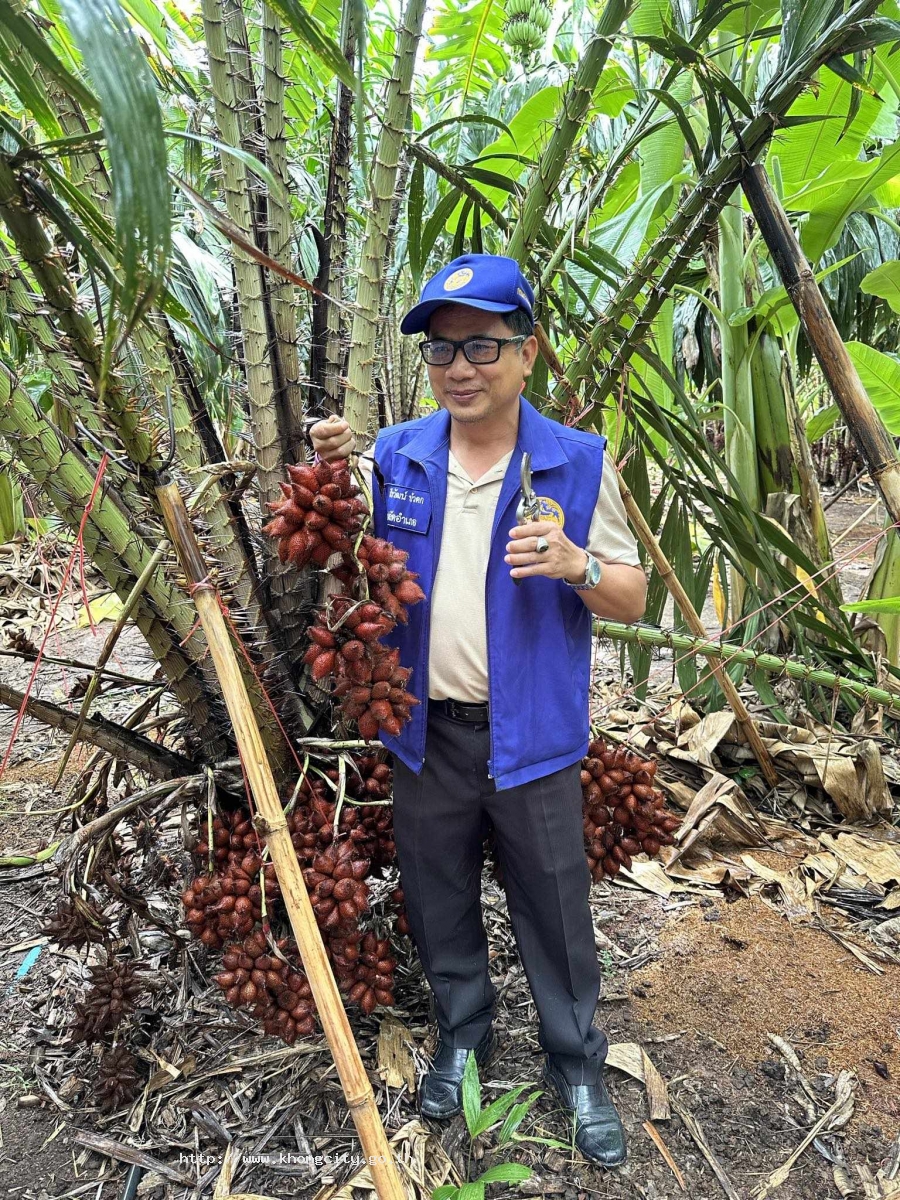 ภาพกิจกรรม 5