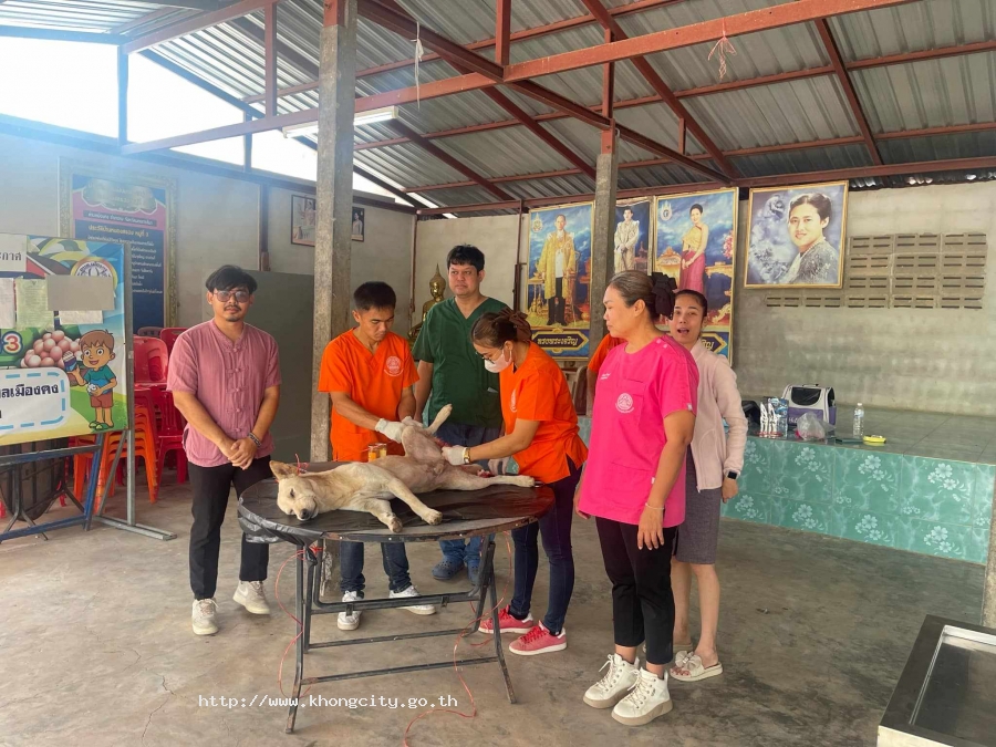 ในวันที่ 18 กุมภาพันธ์ 2568 เวลา 09.30-12.00 น. กองสาธารณสุขฯ อบต.เมืองคง ร่วมกับปศุสัตว์อำเภอคง ได้ออกหน่วยทำหมันตามแนวทางการควบคุมประชากรของสุนัขและแมว ณ บ้านหนvงสรวง หมู่ที่3 ตำบลเมืองคง อำเภอคง จังหวัดนครราชสีมา