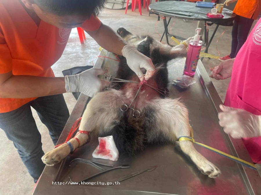 ภาพกิจกรรม 2