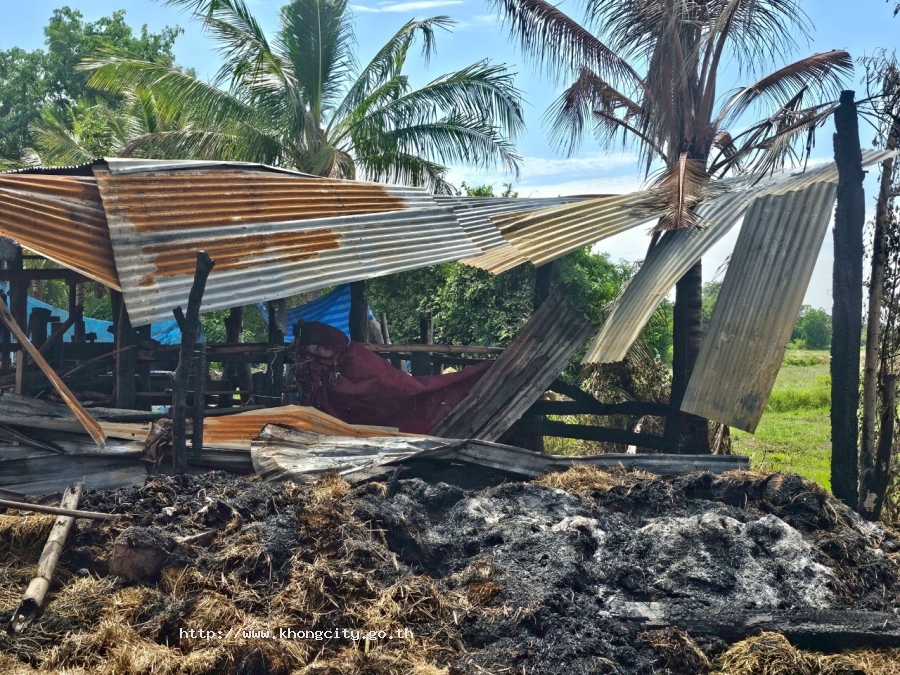 ภาพกิจกรรม 4