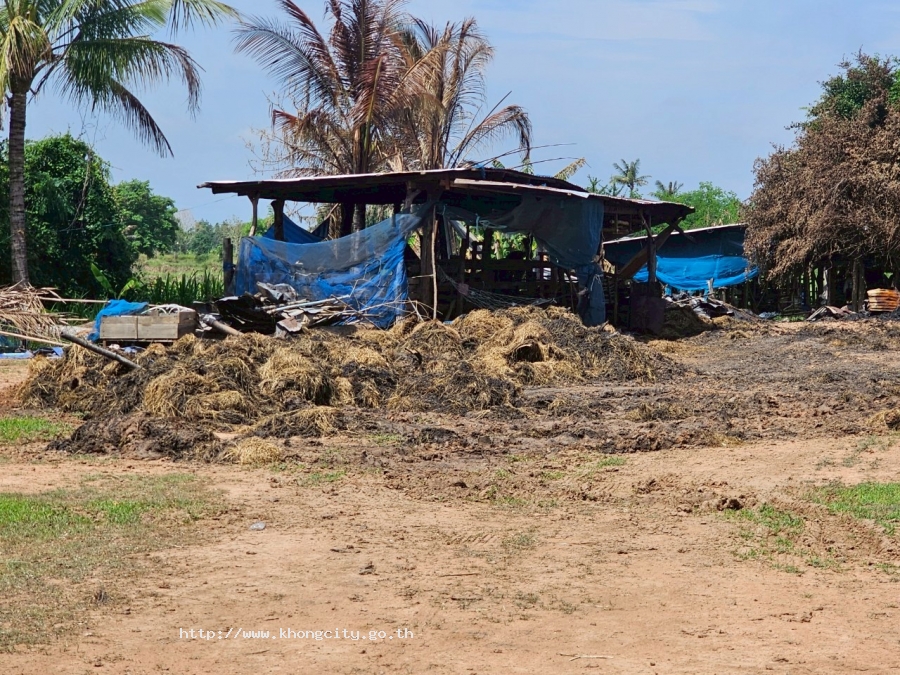 ภาพกิจกรรม 5