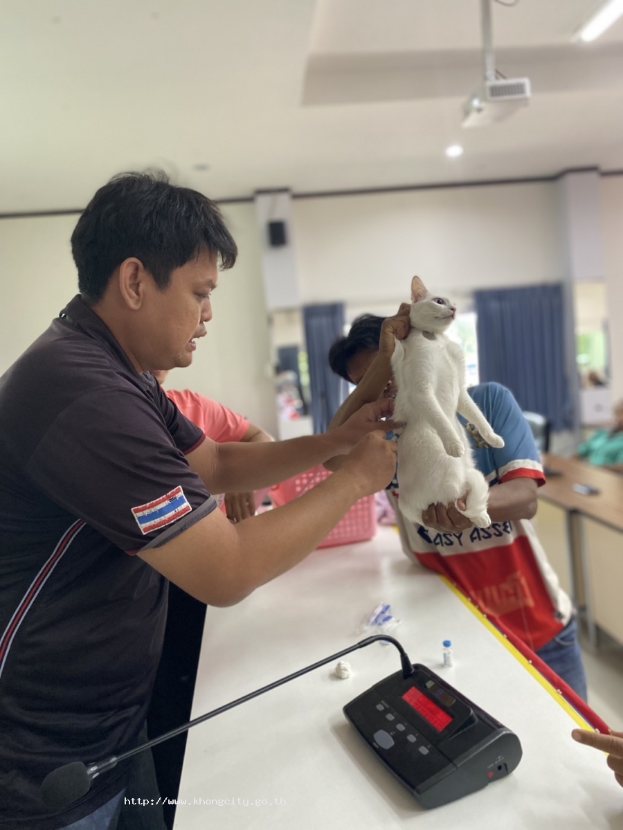 ภาพกิจกรรม 2