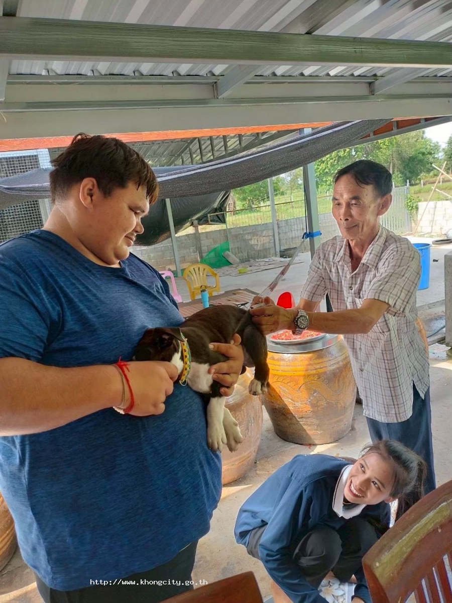 ภาพกิจกรรม 4