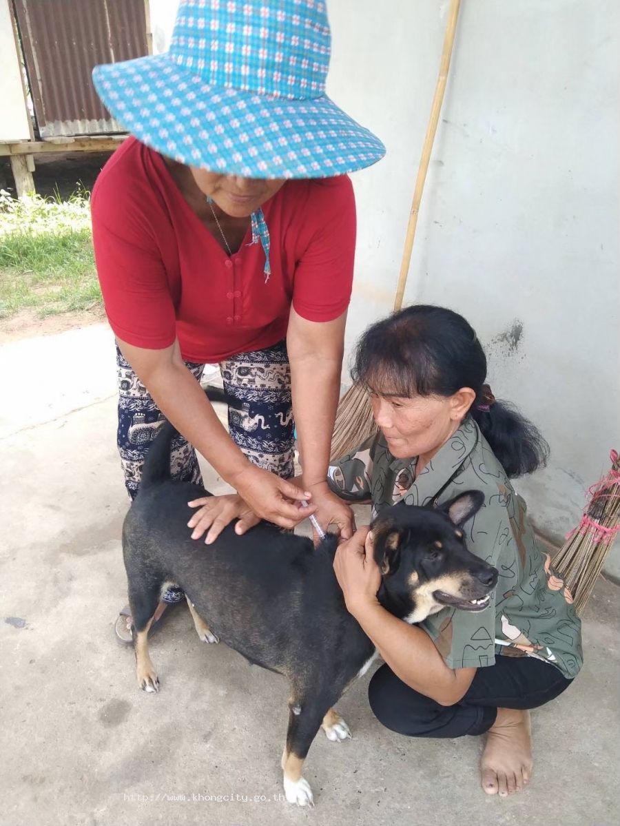 ภาพกิจกรรม 5