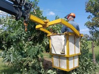 thumb 8